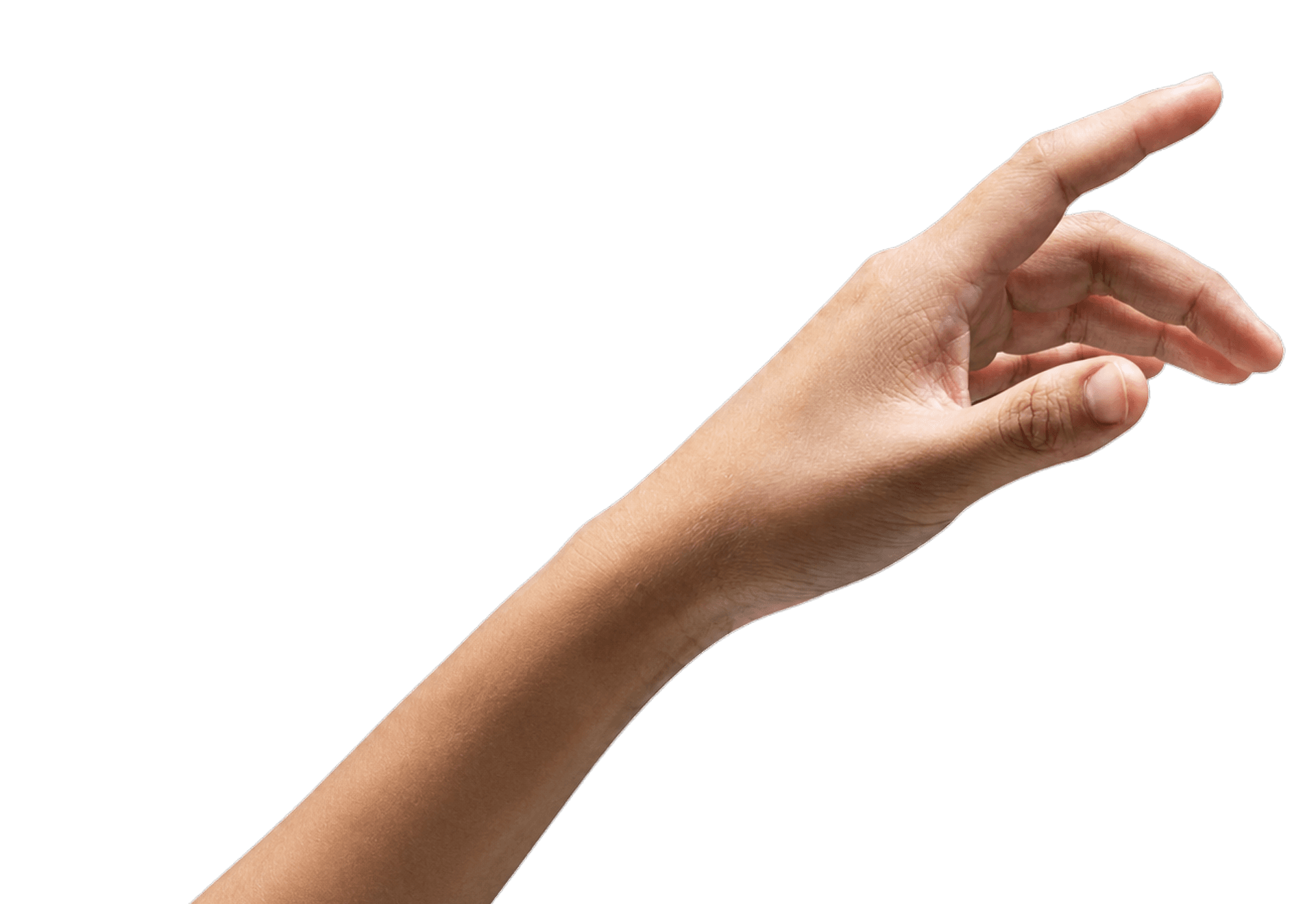 Human Hand
