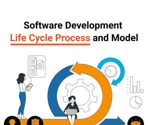 Software Development Life Cycle